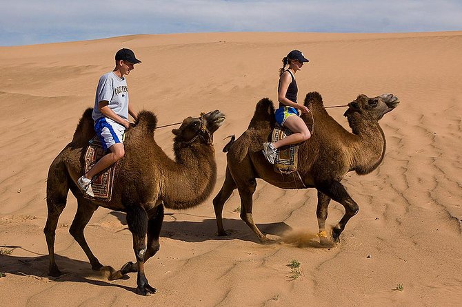 1 Day Semi-Gobi All-included tour - Key Things I’d Bet on With This Semi-Gobi Tour