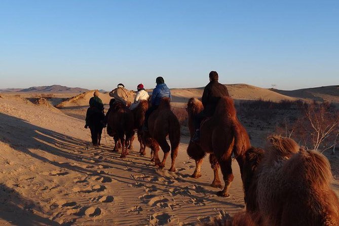 1 Day Semi-Gobi All-included tour - The Long Drive Is the Tradeoff (So Go in Ready)