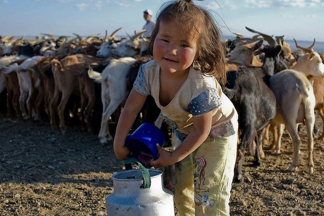 1 Day Semi-Gobi All-included tour - The Steppe Coffee Stop: Where the Day Gets Its Pace