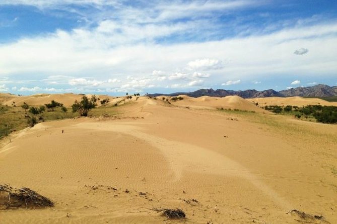 1 Day Semi-Gobi Tour Including Lunch And Free Camel +Bonus Khustai National Park - Nomad family visit: culture that works best with good questions