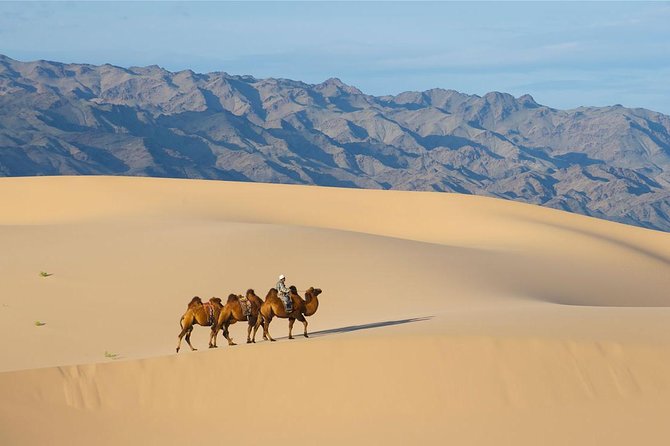 1 Day Semi-Gobi Tour with Lunch And Enjoying Camel or Horseback - Camel Or Horseback Rides: Pick The Experience That Fits You