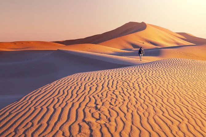 1 Day Semi-Gobi Tour with Lunch And Enjoying Camel or Horseback - Bayar’s English And Calm Help Make The Day Easier