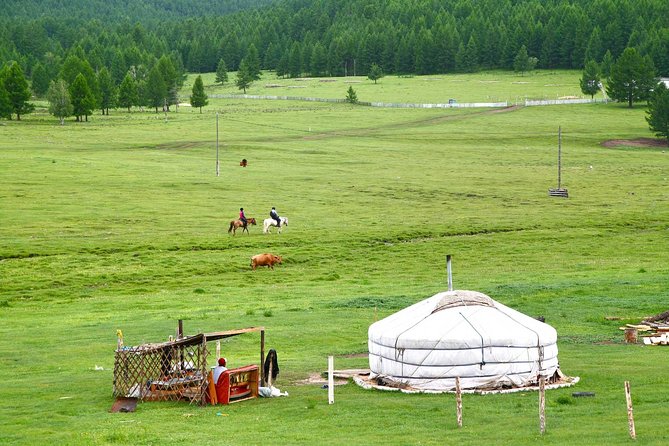 1 Day Tour: Khustai National Park - From Enza Tours LLC office to the park: what the start feels like