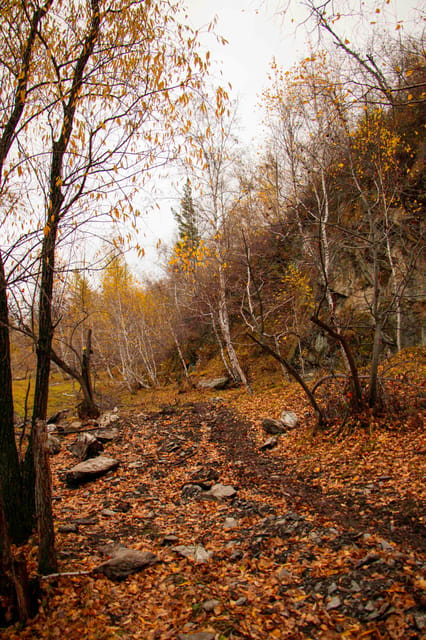 2 Day Horse trekking in Terelj national park - Price and value: what $310 really covers