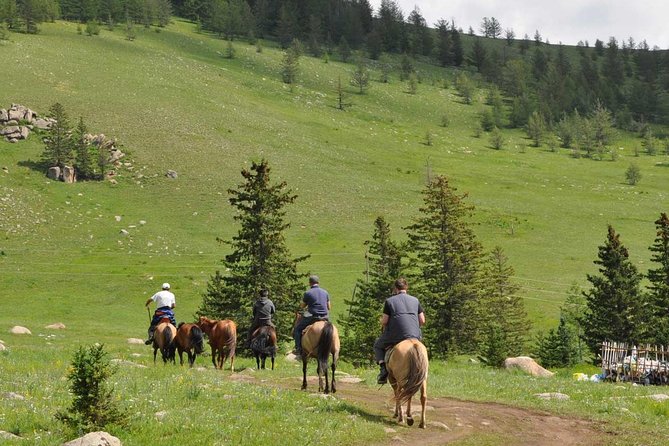 2 Days Tour: Terelj National Park And Chinggis Statue - Chinggis Khaan Statue Complex: Mongolia’s Big-Hitting Welcome