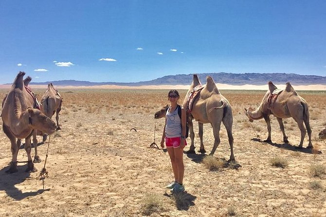 2D,1N Gobi desert and Old city Kharkhorum stay with Nomadic family - Day 1: Semi-Gobi Sand Dunes, hiking breaks, and camel time