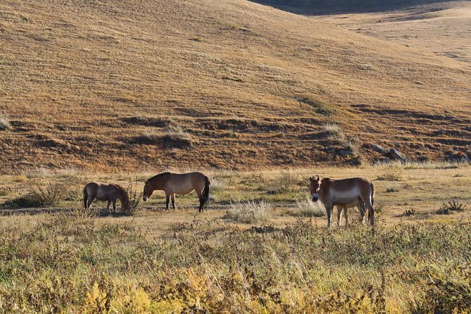 3 Day Mongolia Getaway tour Private tour - Making the Most of Ger Life and Park Days