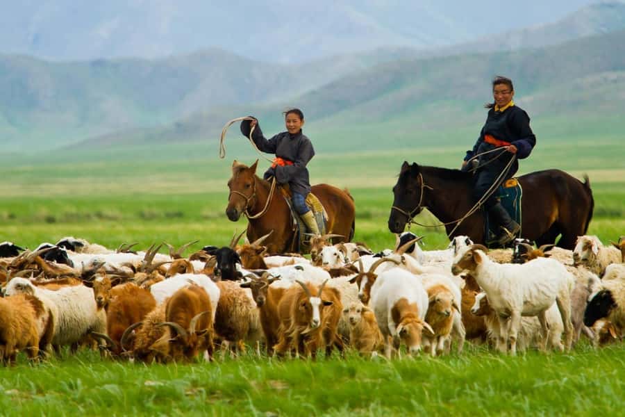 4 Day Central Mongolia - Day 4: Back to Ulaanbaatar, with Hustai National Park on the way