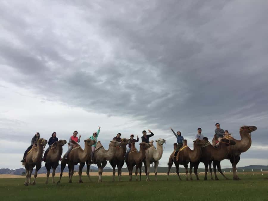 4 Day Central Mongolia - Guides and drivers: the people factor that makes this smooth