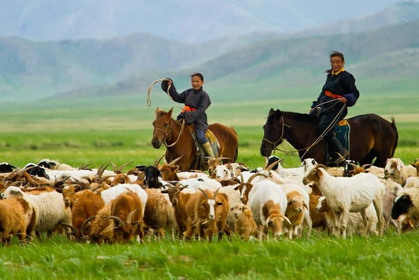 5 day Central Mongolia and Nomad stay tour - Who this tour fits best, and who should skip it