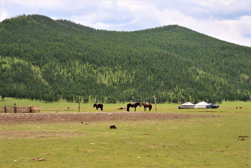 5 day Central Mongolia and Nomad stay tour - Price and value: what $1,092 buys you in Mongolia