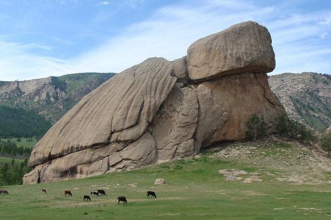 5 Days Terelj national Park Tour From Central Mongolia - Day 2: Camel riding at Elsen Tasarkhai, Erdene Zuu, and Kharakhorum Museum
