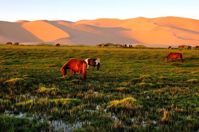 6 Days Color of Gobi Desert - A 6-day Gobi Circuit That Packs Big Meaning
