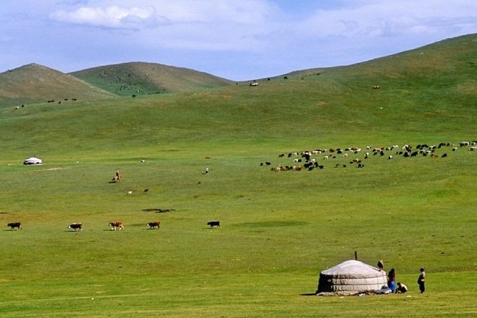 7 days Central Mongolia and Great Gobi - Getting there and living the road life