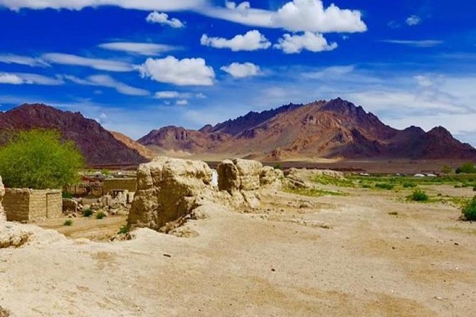 7 days Great Gobi Tour - Key highlights you should care about