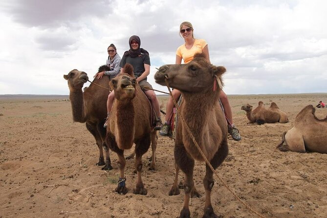 8 Day Great Gobi and Central Mongolia - Why This 8-Day Route Works: Great Gobi and Central Mongolia in One Shot