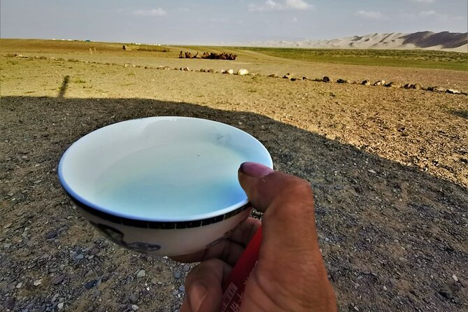 8 Day Great Gobi and Central Mongolia - Day 5 Orkhon Waterfall: A Break From Sand, With Real River Power