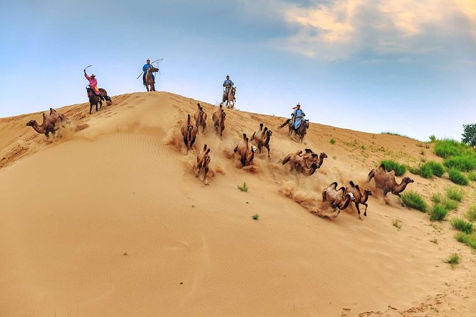 8 Days Tour: Gobi Desert And Kharkhorin - Key highlights worth your time