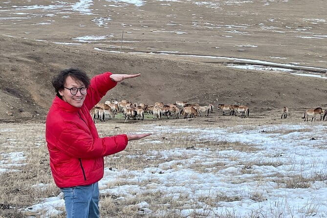 Authentic Mongolian two days tours in Terelj & Khustai National P - Why This Khustai Overnight Works So Well