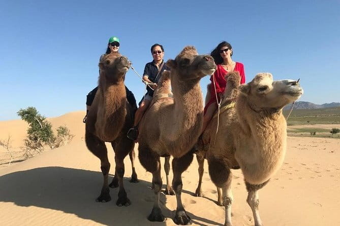 Authentic Mongolian two days tours in Terelj & Khustai National P - Logistics That Make Your Day Feel Easier