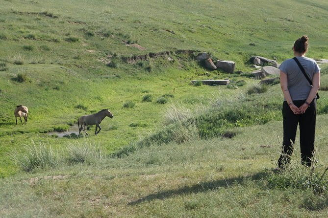 Authentic Mongolian two days tours in Terelj & Khustai National P - Wildlife Watching That Feels Like More Than a Checklist