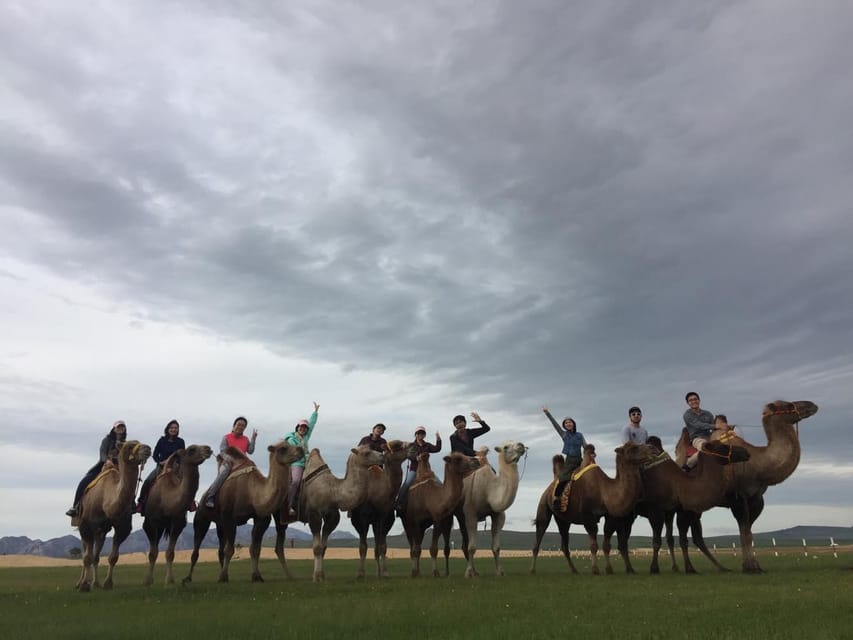 Best 6-Day Gobi Tour Discover Mongolia - Key highlights worth planning around