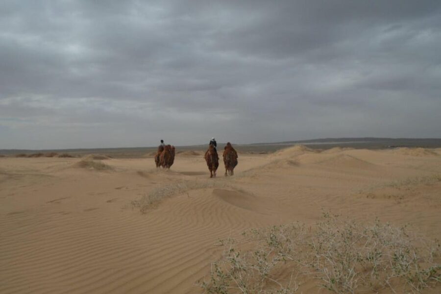 Best 6-Day Gobi Tour Discover Mongolia - Day 6: Back to Ulaanbaatar by paved road