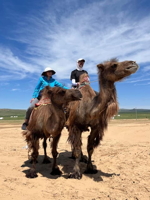 Camel Trails and Bird Tales: Discovering Elsen Tasarkhai - The Long Ride from Ulaanbaatar: Worth It, But Plan for Time