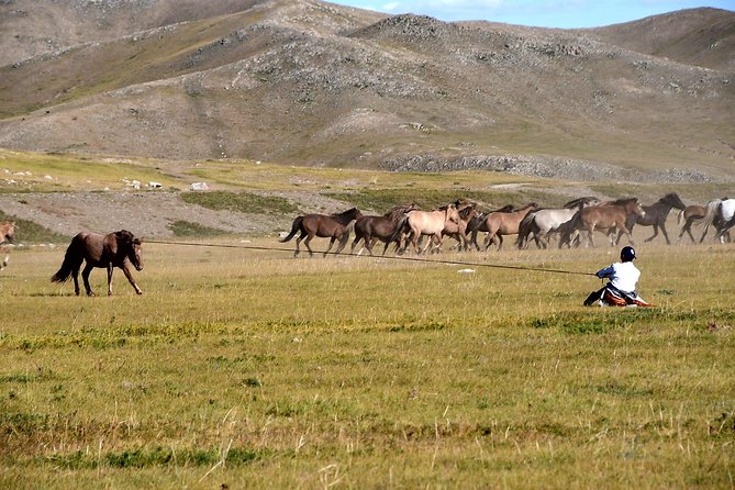 Day Trip to Terelj National Park & Giant Chinggis Khaan Statue - Chinggis Khaan Statue Complex: up close at 40 meters tall