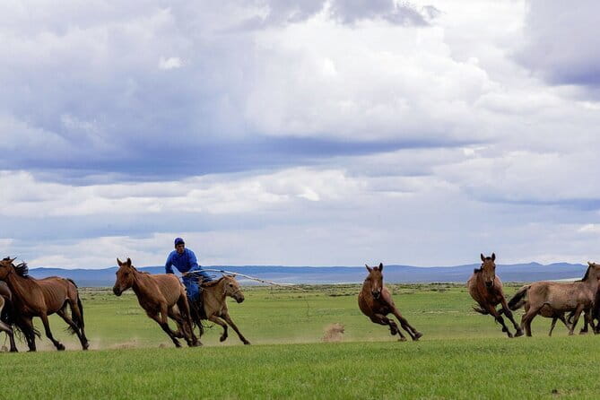 Essence of Mongolia 5 Days - Key highlights at a glance