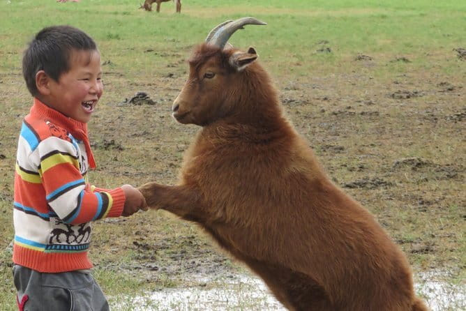 Essence of Mongolia 5 Days - Gurvanbulag and the Gobi-style start you won’t forget (Day 1)
