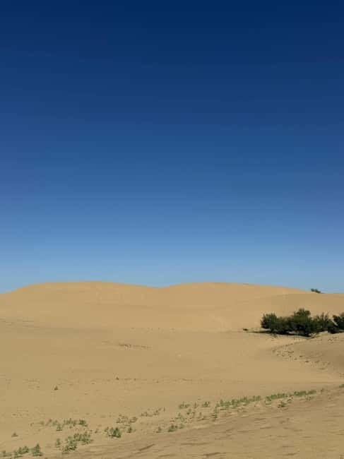 From UB: 2-Days Tour to Kharhorin and sand Semi Gobi - Overnight choices: ger-style stay and a real look at daily life