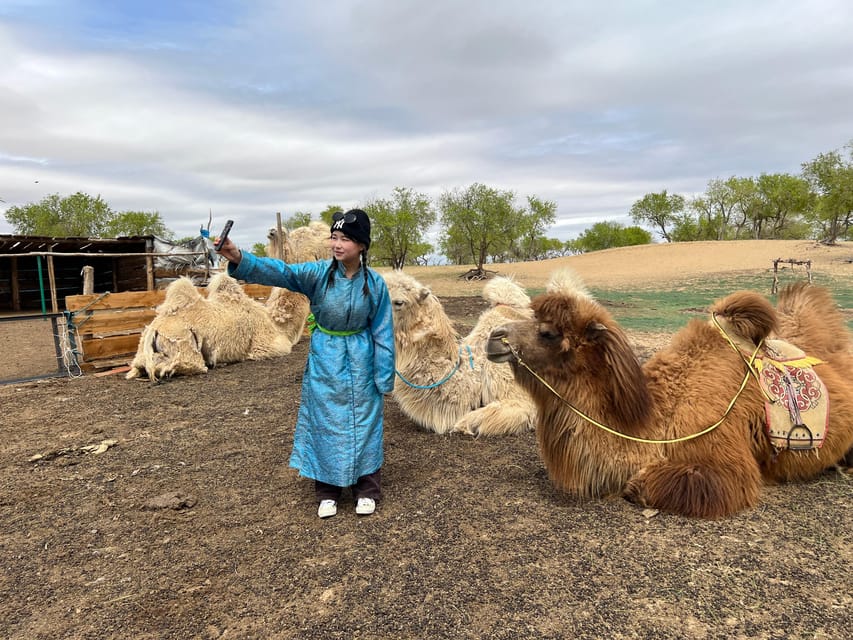 From Ulaanbaatar: Central Mongolia Guided 3-Day Tour - Day 1: Ulaanbaatar pickup, then Kharkhorin and Erdene Zuu