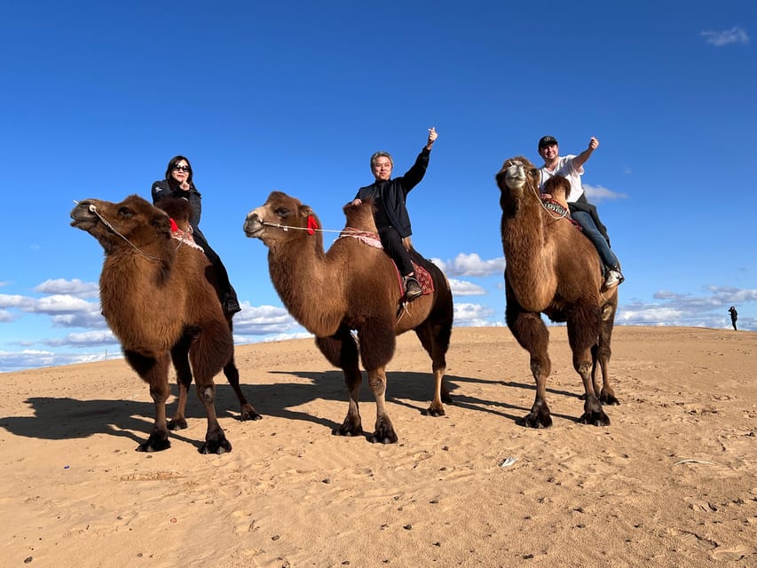 From Ulaanbaatar: Central Mongolia Guided 3-Day Tour - Day 2: Semi-Gobi camel ride over dunes, then nomad family night