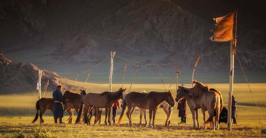 From Ulaanbaatar: Day Trip to Hustai National Park - Guides, language, and the difference between seeing and understanding