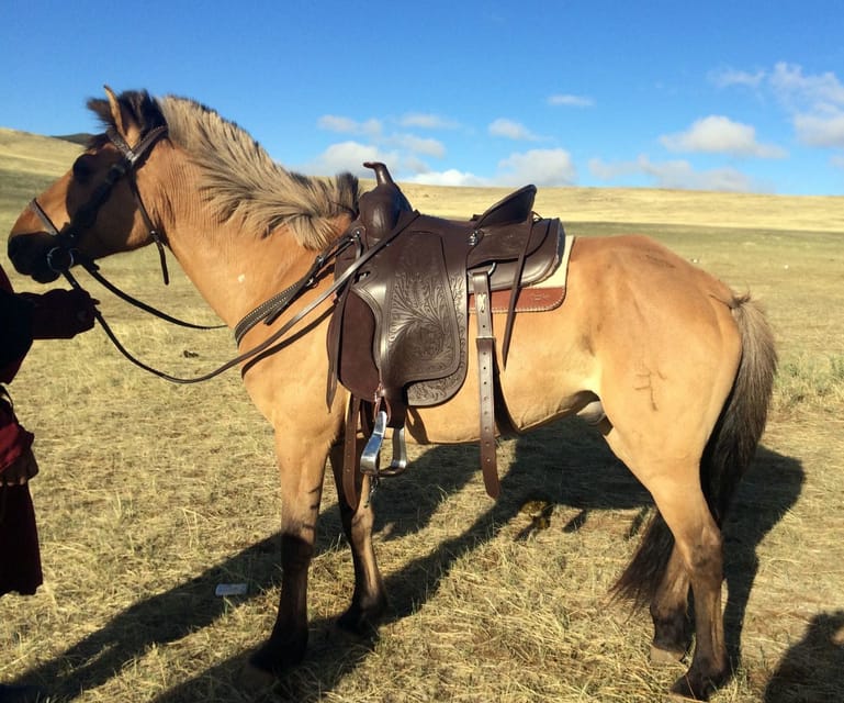 From Ulaanbaatar: Day Trip to Hustai National Park - Leaving Ulaanbaatar: a 9 AM start and a real countryside reset