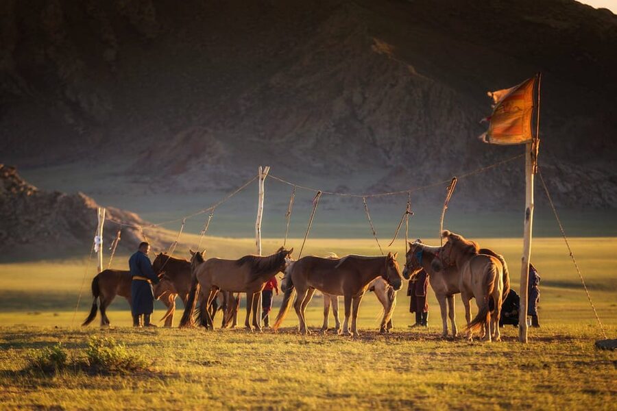 From Ulaanbaatar: Day Trip to Hustai National Park - The wild horse spotting plan: not a sure thing, but you can stack odds