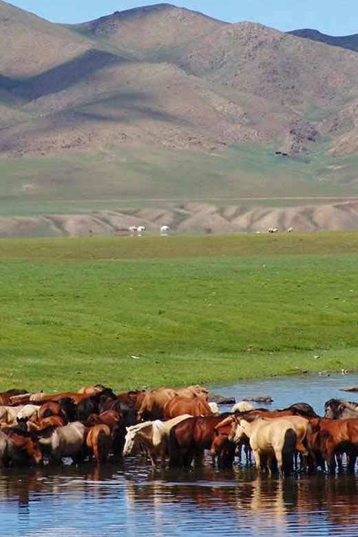 From Ulaanbaatar: Day Trip to Hustai National Park - The return to Ulaanbaatar: timing you can count on, plus a reality check