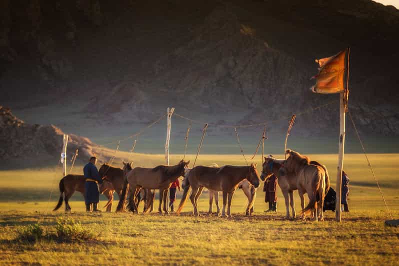 From Ulaanbaatar: Day Trip to Hustai National Park - The drive west: nomadic tents, steppe views, and why it matters