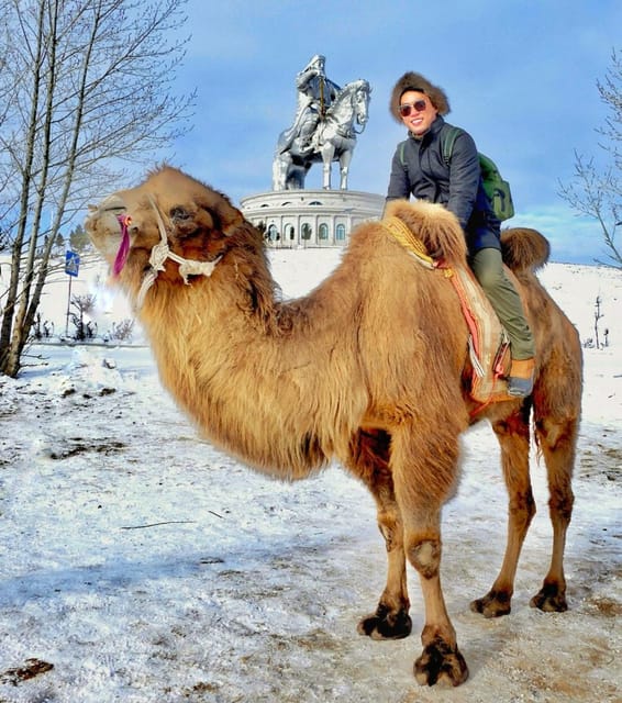 From Ulaanbaatar: Genghis Khan Statue NationalPark CamelRide - Timing, Comfort, and the Ulaanbaatar Traffic Reality