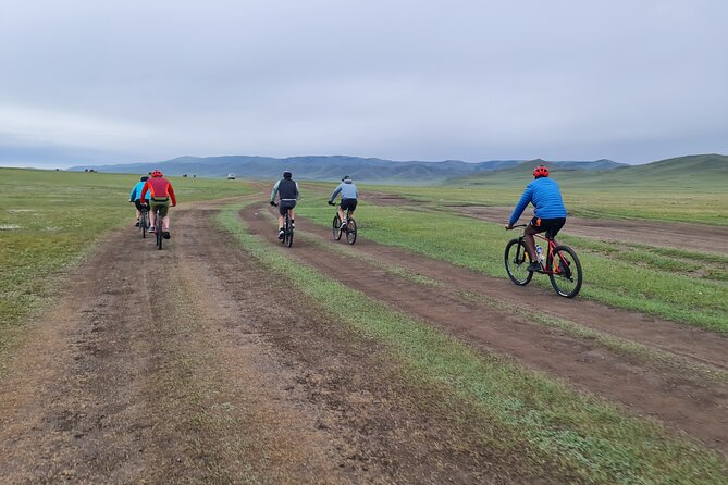 Full Day Mountain Biking Tour in Khan Khenty National Park - Pace, Difficulty, and Who This Day Trip Fits Best