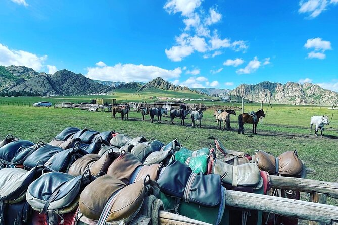 Full Day Private Tour in Terelj National Park with Horse Riding - Lunch in a Ger or Yurt: Local Hospitality That Feels Real