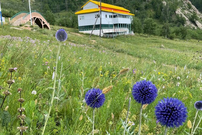 Full Day Private Tour in Terelj National Park with Horse Riding - Returning to Ulaanbaatar: Wrap Up Without Feeling Cut Short