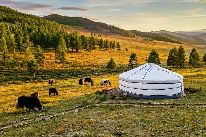 Gobi tour Mongolia 7 Days - Yolyn Am (Eagle Valley) and the Gobi Museum: Gorges, Ice Formations, and Plant Life