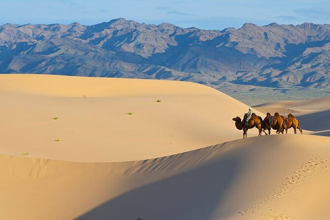 Gobi tour Mongolia 7 Days - Khongor Sand Dunes: Big Views, Dune Walking, and a Camel Ride