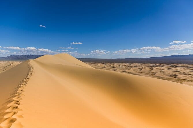 Gobi tour Mongolia 7 Days - Bayanzag and the Saxaul Forest: Desert Trees, Museum Time, and Storytelling
