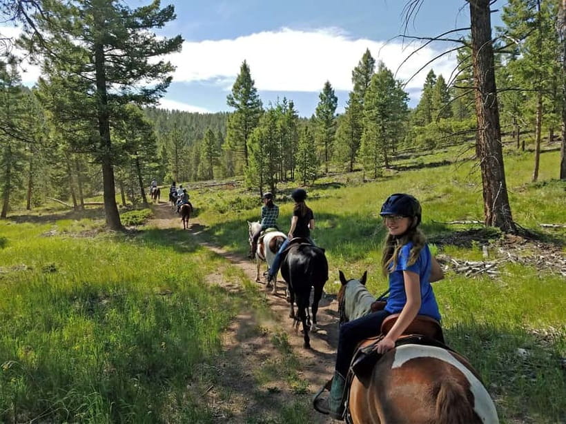Guided Day Tour Terelj National Park Chinggis Khaan Statue - Horse riding, camel riding, and how not to overthink the animals