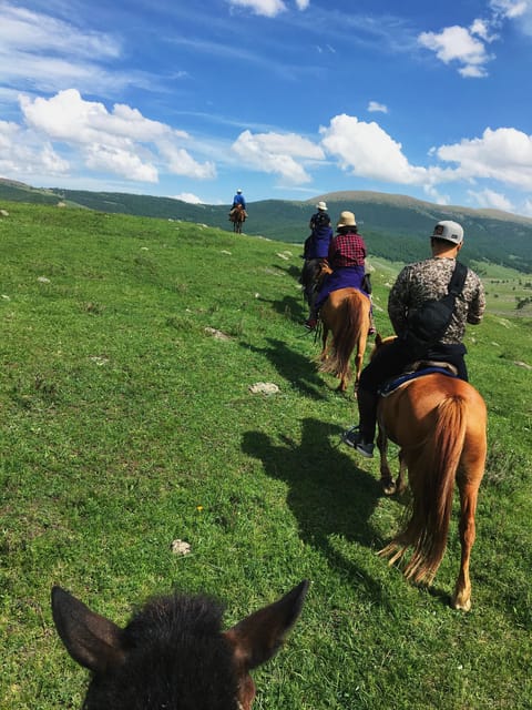 Horse riding experience in Terelj National park 1 day - Key Things That Make This Terelj Day Trip Worth Your Time
