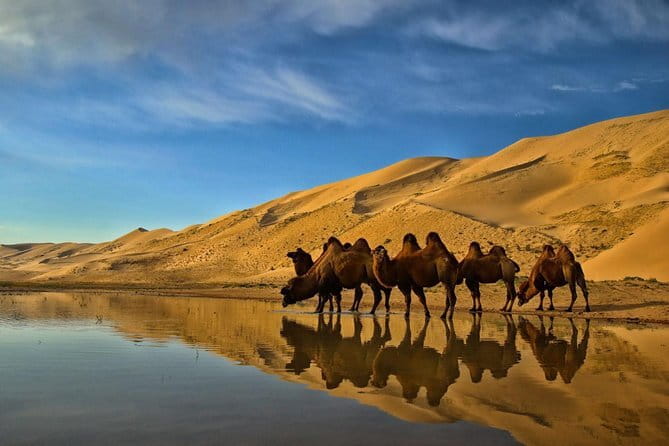 Kharkhorum, Semi-Gobi 2 days 1 night private trip - Night comfort: a modern ger with private toilet and shower