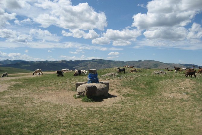 Mini Gobi and the ancient capital Kharkhorin - 4 days - Key Things You’ll Notice on This 4-Day Mongolia Trip